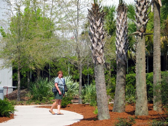 Click for the original image