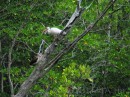 Birds * Birds * 2272 x 1704 * (3.42MB)