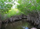 Everglades * Everglades * 2272 x 1704 * (4.03MB)