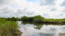 Everglades * Everglades * 2272 x 1290 * (1.78MB)