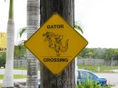 Gator Crossing * Seems we better watch out for alligators... * 2272 x 1704 * (1.98MB)