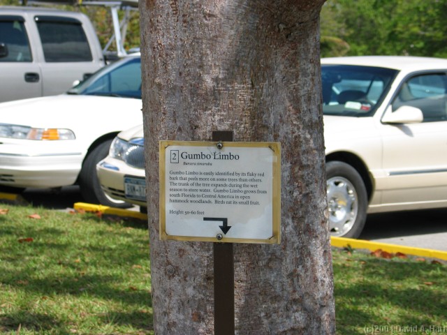 Click for the original image