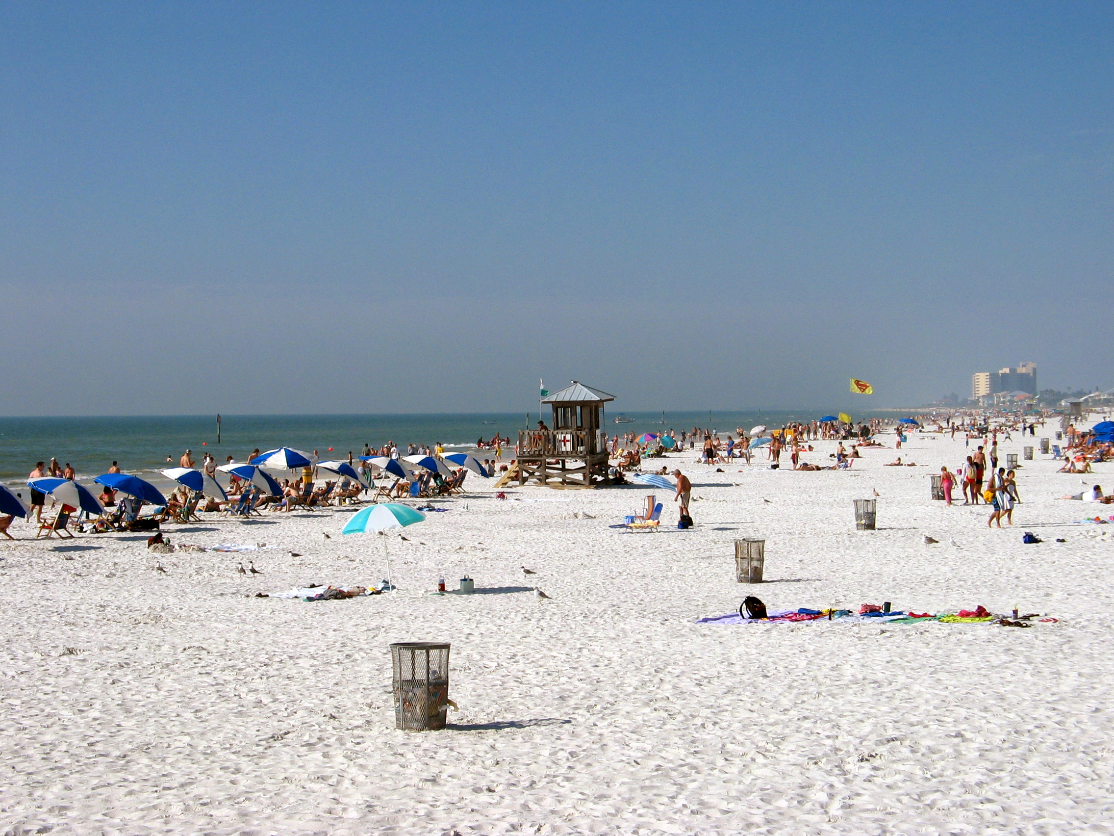 Download this Clearwater Beach picture