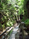 Flume Gorge * Over the years the water from the Flume has etched a path through solid rock * 1704 x 2272 * (4.96MB)